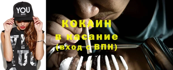 индика Алзамай