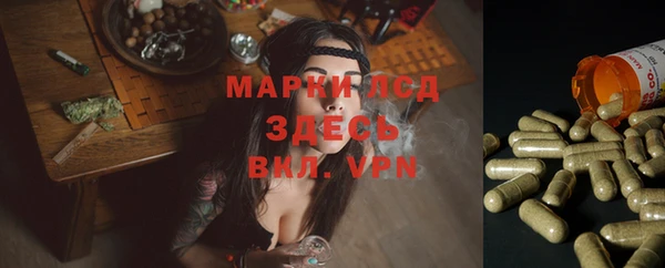 индика Алзамай