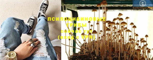 а пвп мука Алексеевка