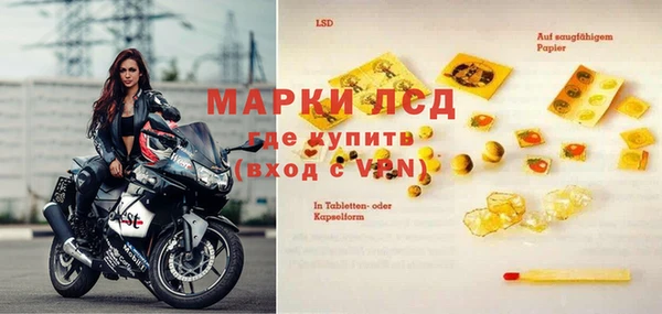индика Алзамай
