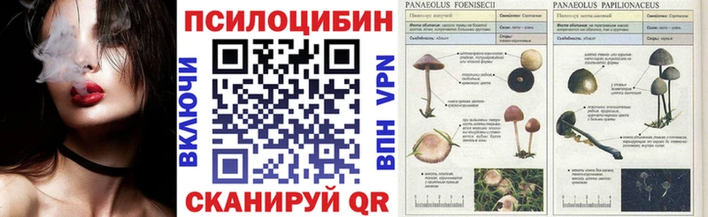 Галлюциногенные грибы ЛСД  Самара 