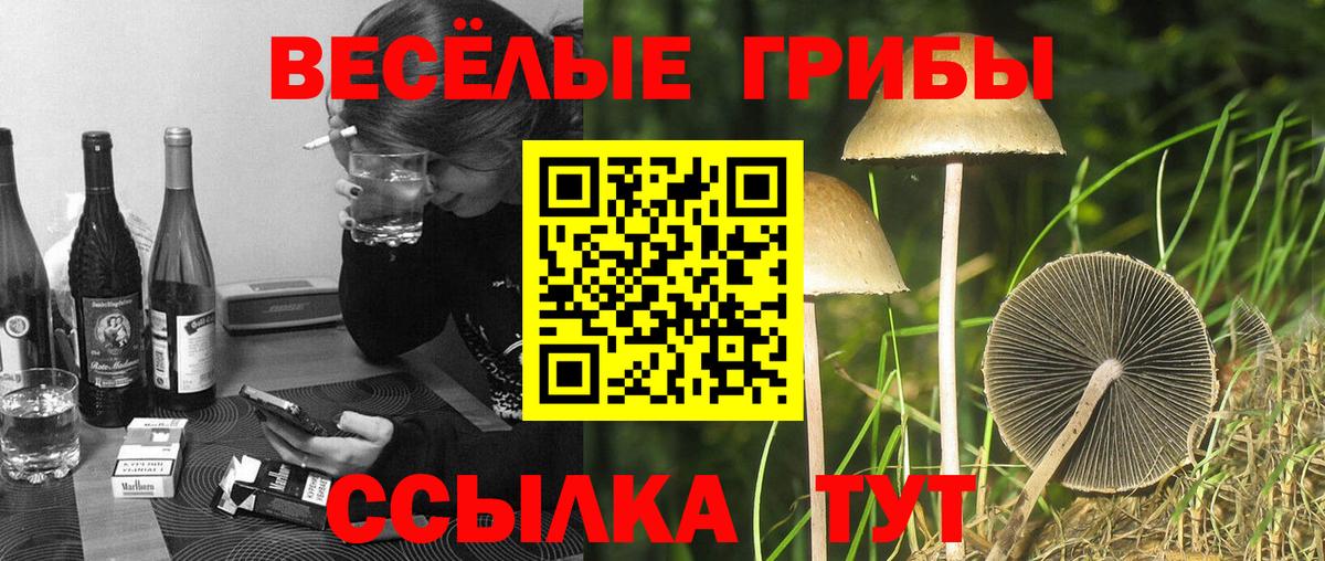Галлюциногенные грибы прущие грибы Самара